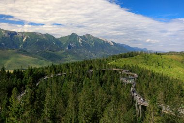 S 'deki Bahledova Vadisi' ndeki ağaçların üzerindeki tahta köprü.