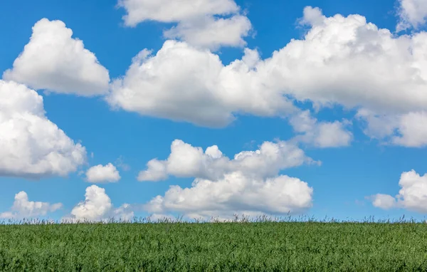 Sommer Kaschubia Wolken Über Den Grünen Feldern Bei Zawory Polen — Stockfoto