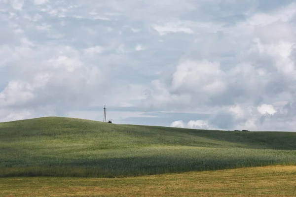 Лето Кашубии Прекрасный Пастбищный Ландшафт Зеленым Полем Небом — стоковое фото