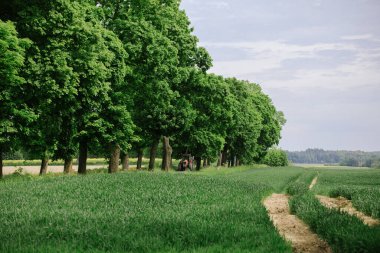 Kırsal Yaşam: Polonya Köy Yolu üzerindeki traktör