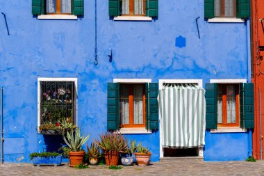 İtalya, Burano 'da yeşil kepenkleri ve saksısı olan renkli mavi ev cephesi