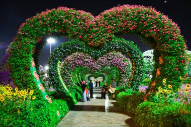 Dubai mucizevi bahçesi, kalp şeklinde muhteşem manzarası var.
