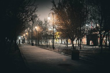 Erivan Noir (Erivan, Ermenistan 'ın farklı görüşleri)