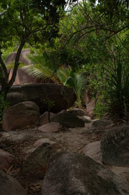 Fascinating boulders on the beach Anse Lazio of the Seychelles.