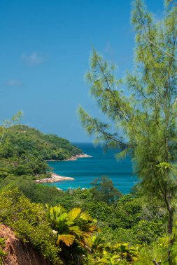 Sea view behind dense jungle in Praslin, Seychelles.