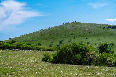 Hırvat Kıyı Dağları 'nın yaz başında tepelik manzarasına bak.