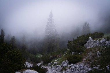 Sis Velebit Ulusal Parkı 'nın dağlarında toplanıyor. Kötü ruh hali.