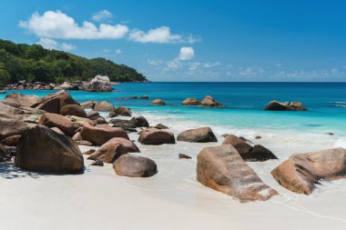 Sahilde büyüleyici kayalar ve orman Seyşeller 'den Anse Lazio.