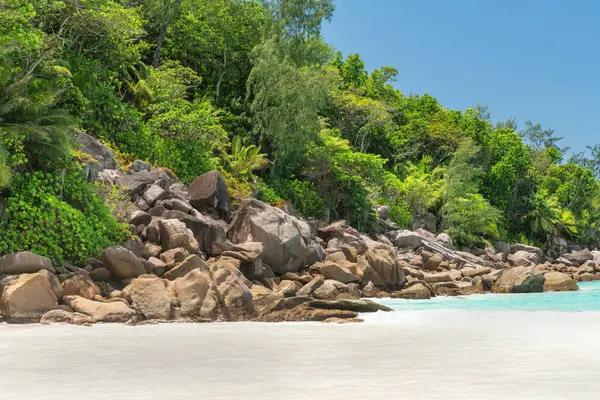Συναρπαστικές Πέτρες Και Ζούγκλα Στην Παραλία Anse Georgette Των Σεϋχελλών — Φωτογραφία Αρχείου