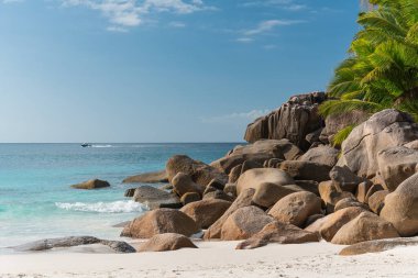 Sahilde büyüleyici kayalar ve orman Seyşeller 'den Anse Georgette.