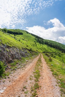 Hırvat Kıyı Dağları 'nın yamaçlı manzarası boyunca asfaltsız yol.