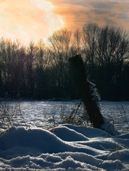 Old fence post in the light of the setting sun in a snowy landscape.