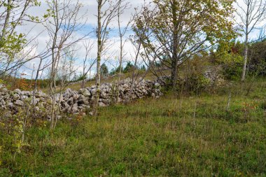 Hırvat dağlarında taş duvarlı manzara.