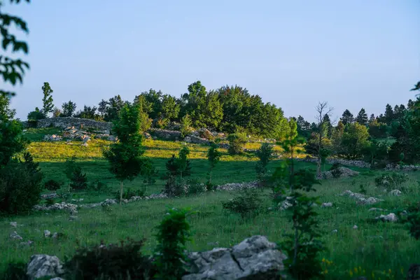 Hırvat dağlarının dağ çayırları sıcak bir yaz akşamında.