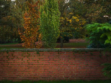 Brick wall at the edge of the park in the evening light. clipart