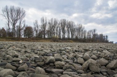 Nehir kıyısındaki taşların arkasındaki çıplak ağaçlar alçak su seviyesinde..