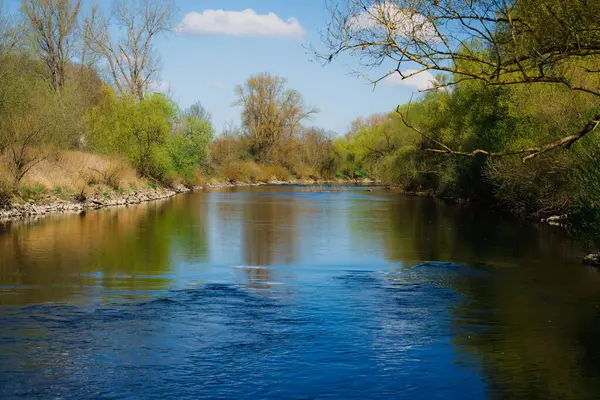 Nehir kenarındaki ilkbahar ilk yeşilliğini gösteriyor..