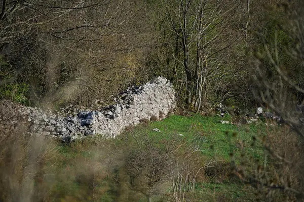 Hırvat dağlarında taş duvarları olan ormanlar ve dağ çayırları.