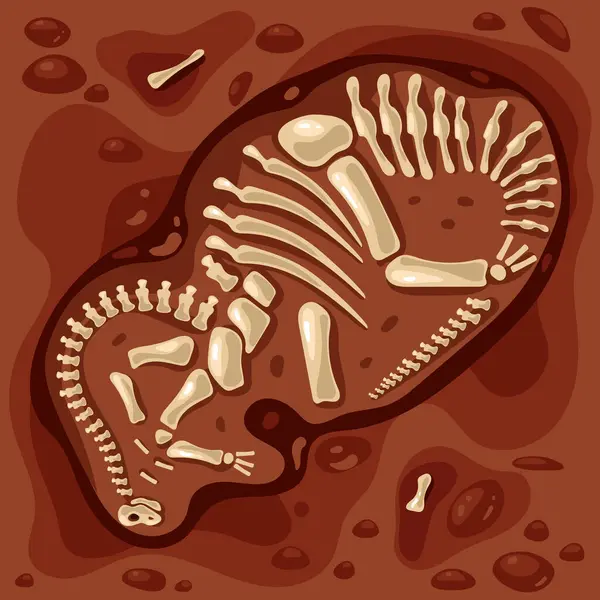 Dinosaurio Fósil Paleontología Esqueleto Arqueología Jurásico Antiguo Concepto Ilustración Diseño Ilustraciones de stock libres de derechos
