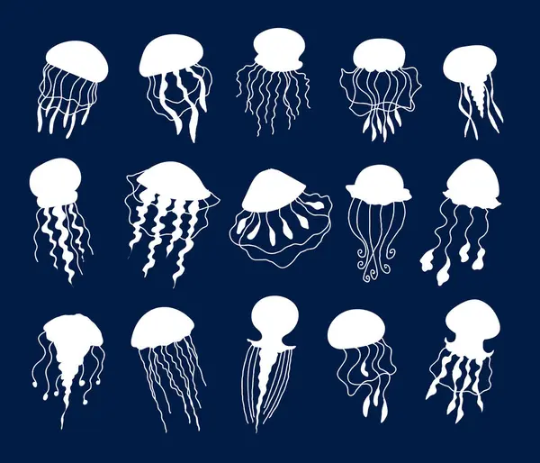 Jellyfish Medusa Laut Jelly Hewan Laut Liar Terisolasi Set Ilustrasi Stok Vektor Bebas Royalti