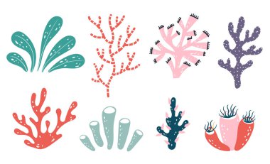 Deniz yosunu, deniz bitkisi, su resifi, izole edildi. Vektör düz grafik tasarım çizimi