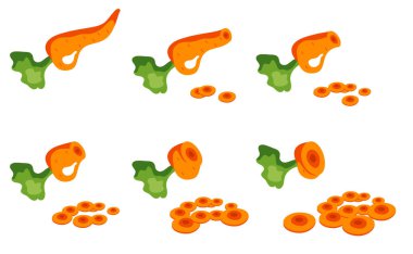 Doğranmış havuç dilimi izole edilmiş. Vektör grafik tasarım çizim ögesi