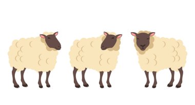 Koyun çiftliği hayvanları izole edilmiş. Vektör tasarımı grafik illüstrasyonu