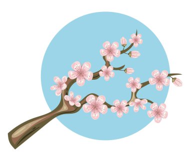 Sakura kiraz ağacı çiçeği soyutlanmış seti. Vektör düz grafik tasarım çizimi