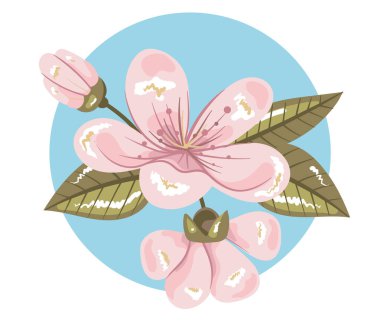 Çiçek baharı pembe sakura kiraz çiçeği soyutlanmış seti. Vektör karikatür grafik tasarım elemanı çizimi