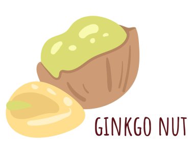 Ginkgo fındık basit satır biçimi izole kavramı