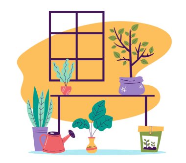 Ev çiçekleri raflarda duran bitkiler basit çizgi biçimi izole kavram 