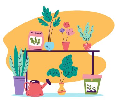 Ev çiçekleri raflarda duran bitkiler basit çizgi biçimi izole kavram 