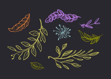 Yaprak çiçeği çiçek desenli süs seti. Vektör grafik tasarımı illüstrasyonu