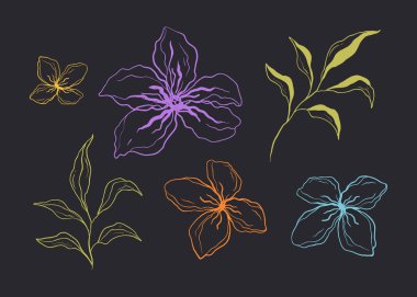 Yaprak çiçeği çiçek desenli süs seti. Vektör grafik tasarımı illüstrasyonu