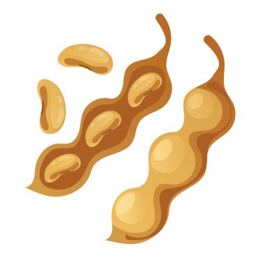 Fasulye soya tohumu yalıtılmış konsept. Vektör grafik tasarım çizim ögesi