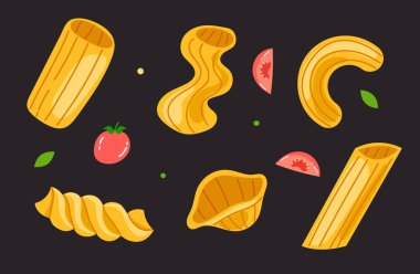 Farklı türde makarna, izole edilmiş. Vektör düz grafik tasarım çizgi film illüstrasyonu