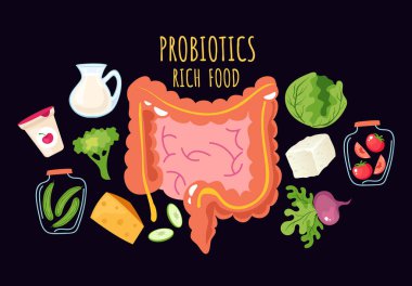 Probiyotik fermente edilmiş zengin gıda vektörü bilgi grafikleri konsepti. Vektör karikatür grafik tasarım elemanı çizimi