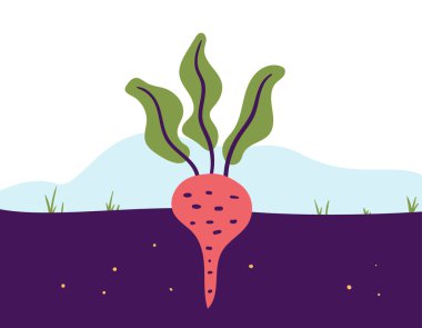 Pancar toprak toprak konseptinde yetişir. Vektör grafik tasarım çizim ögesi