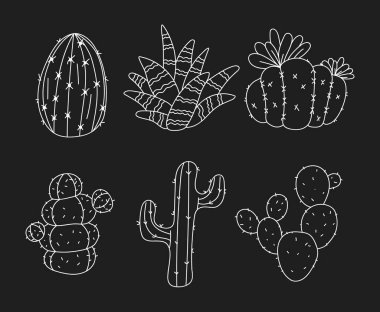 Çizgili sanat kaktüsü elle çizilmiş çöl eskizi bitki kaktüsü izole seti. Vektör düz grafik tasarım çizimi