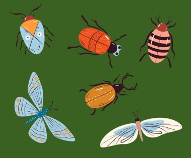 Böcek böceği tatlı böceği uğurböceği izole edilmiş set konsepti. Vektör tasarımı grafik illüstrasyonu