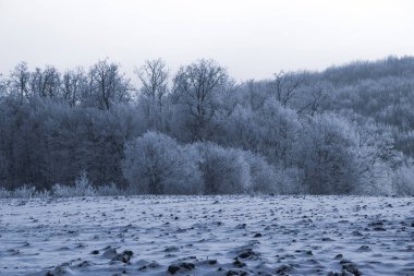 Güzel kış manzarası, tarla ve ormanları karla kaplı.