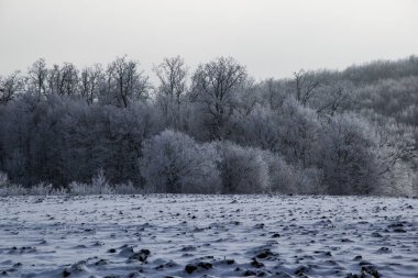 Güzel kış manzarası, tarla ve ormanları karla kaplı.