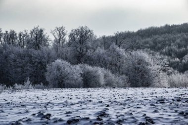 Güzel kış manzarası, tarla ve ormanları karla kaplı.