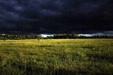 Yeşil tarlanın üzerindeki gök gürültülü bulutlar
