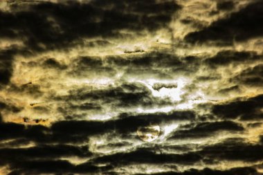 Ormanın yakınında sarı gün batımı