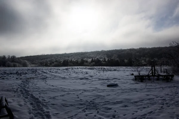 Güzel kış manzarası, tarla ve ormanları karla kaplı.