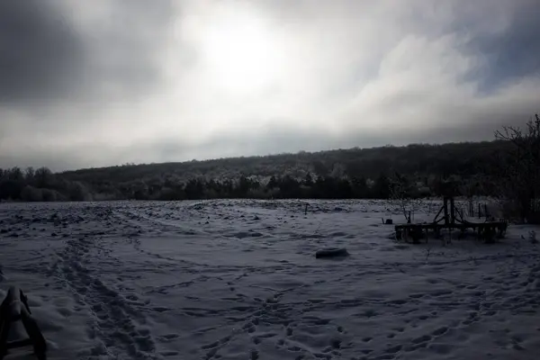 Güzel kış manzarası, tarla ve ormanları karla kaplı.