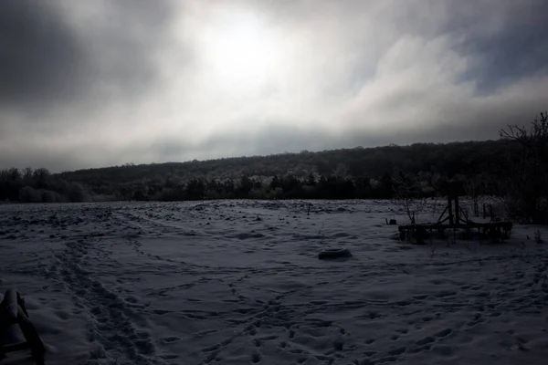 Güzel kış manzarası, tarla ve ormanları karla kaplı.