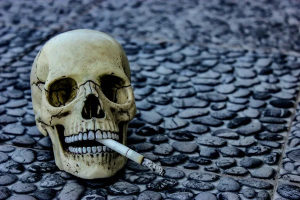 Sigaralı beyaz kafatası