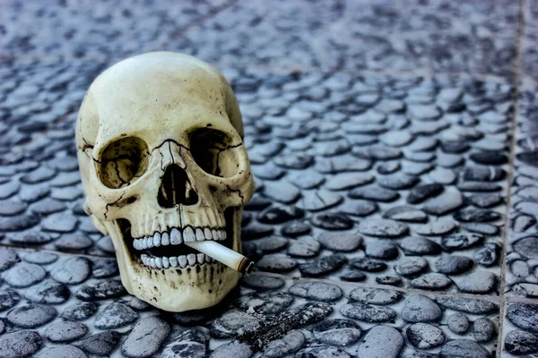 Sigaralı beyaz kafatası